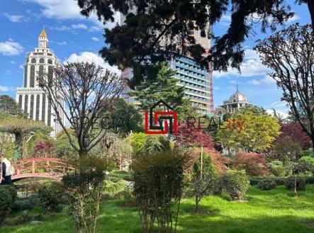 PHOTO-2025-12-01-22-31-37 6.jpg