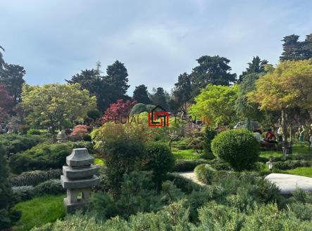 PHOTO-2025-12-01-22-31-37 3.jpg