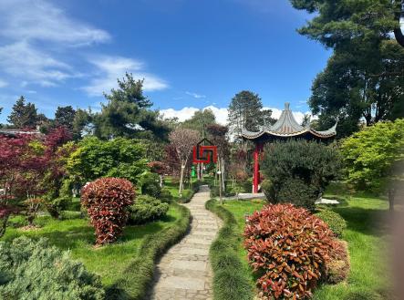 PHOTO-2025-12-01-22-31-37 2.jpg