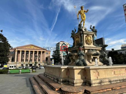 PHOTO-2025-12-01-22-35-03 5.jpg