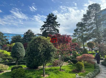 PHOTO-2025-12-01-22-31-37 5.jpg