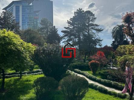 PHOTO-2025-12-01-22-31-37 4.jpg