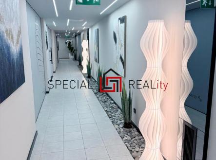 PHOTO-2025-11-30-15-18-15 39.jpg