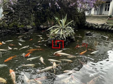 PHOTO-2025-12-01-22-31-37 8.jpg