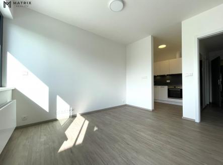 Pronájem bytu, 1+kk, 56 m²