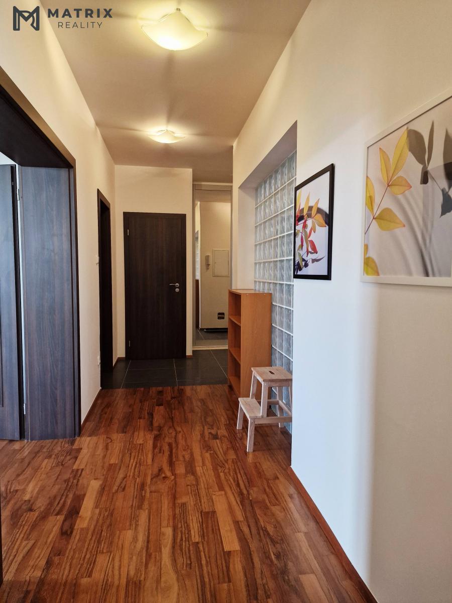 Fotku se nepodařilo načíst.