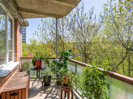 Prodej bytu, 5+1, 167 m²