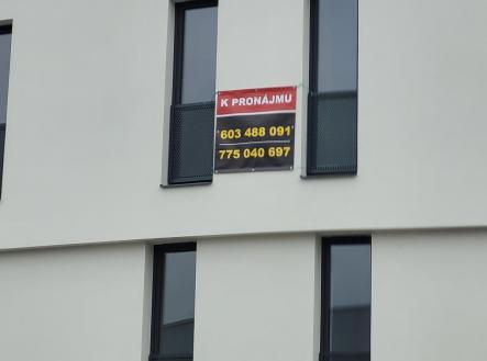 Pronájem bytu, 1+kk, 34 m²