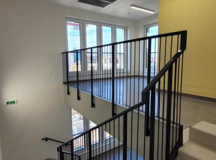 WhatsApp Image 2026-02-26 at 19.14.03 (3).jpeg