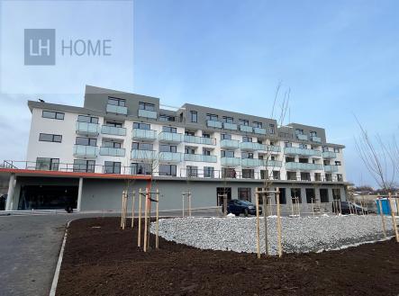 Pronájem jiné, 110 m²