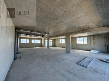 Pronájem obchodní prostor, 229 m²