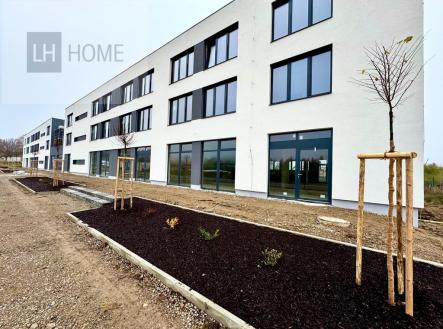 Pronájem obchodní prostory, 160 m²