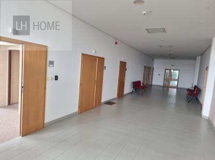 Pronájem kanceláře, 1 000 m²