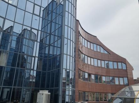 Pronájem jiné, 1 000 m²