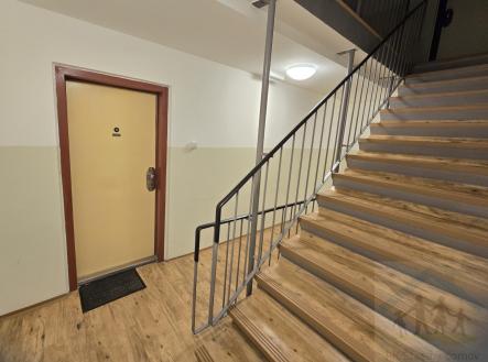 chodba a vstupní dveře do bytu.jpg