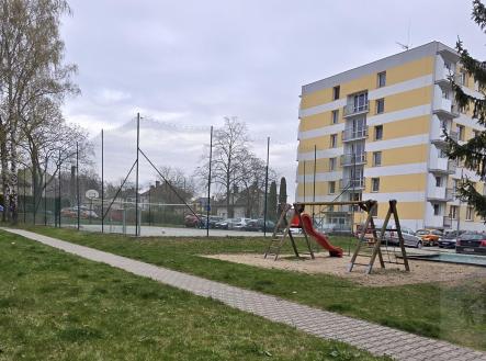 hříště za domem.jpg