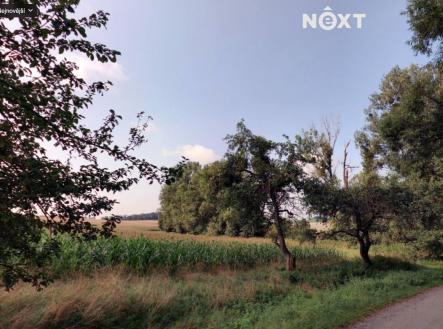 Prodej pozemku, zemědělská půda, 6 011 m²