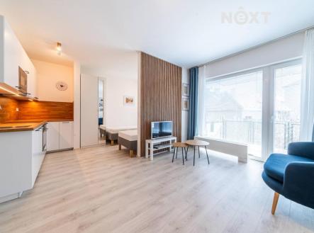 Pronájem bytu, 2+kk, 51 m²