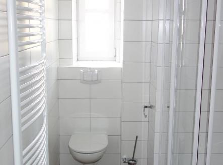 Pronájem bytu, 1+1, 43 m²