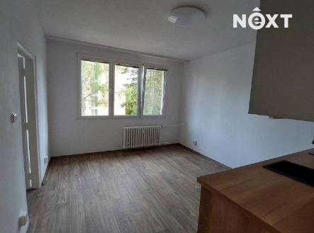 Pronájem bytu, 1+1, 37 m²