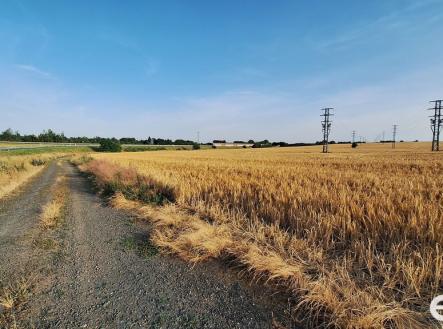 Prodej - pozemek, zemědělská půda, 5 938 m²