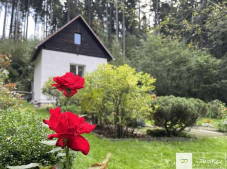 Prodej - chata/rekreační objekt, 30 m² obrázek