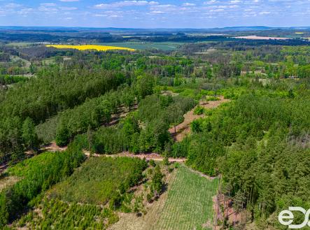 Prodej pozemku, les, 79 500 m²