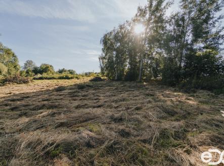 Prodej pozemku pro bydlení, 3 564 m²