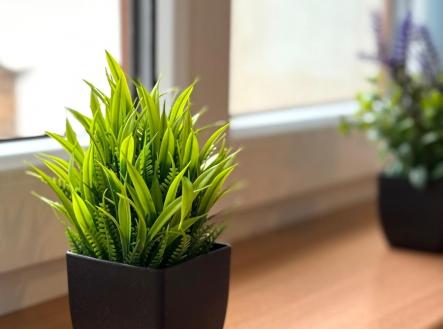 Pronájem bytu, atypický, 100 m²