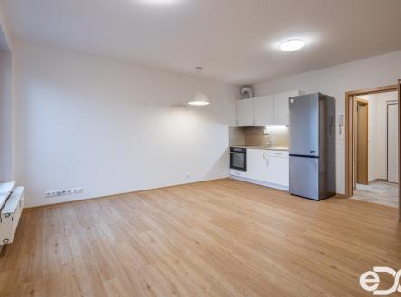Pronájem bytu, 1+kk, 42 m²