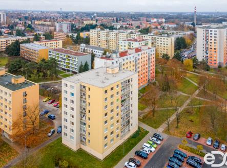 Pronájem bytu, 1+kk, 28 m²