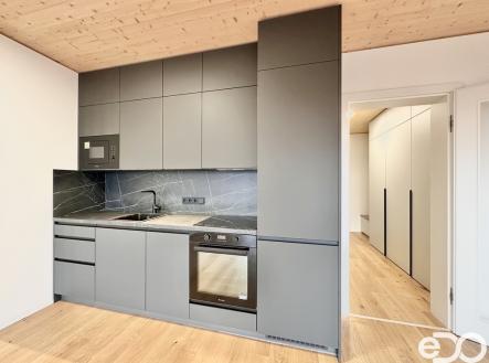 Pronájem bytu, 1+kk, 56 m²