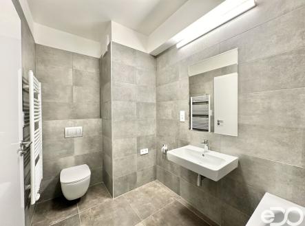 Pronájem bytu, 1+kk, 53 m²