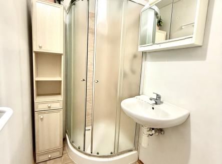 Pronájem bytu, 1+1, 44 m²