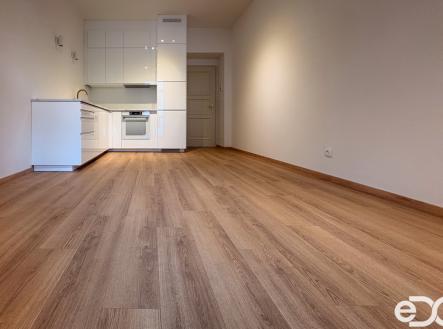 Pronájem bytu, 2+kk, 47 m²