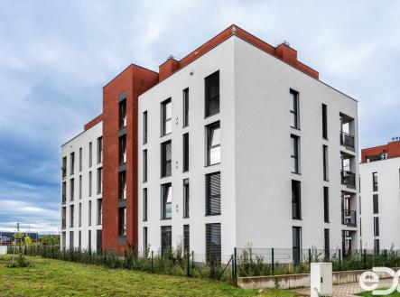 Pronájem bytu, 1+kk, 30 m²