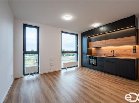 Pronájem bytu, 1+kk, 30 m²