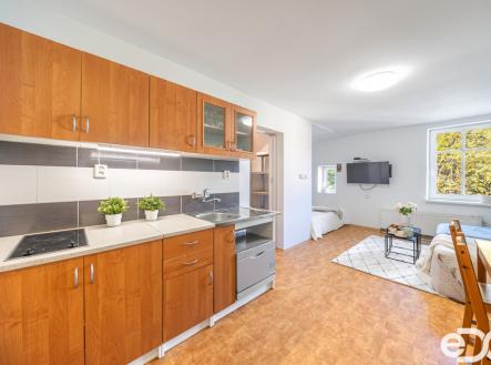 Pronájem bytu, 1+kk, 29 m²