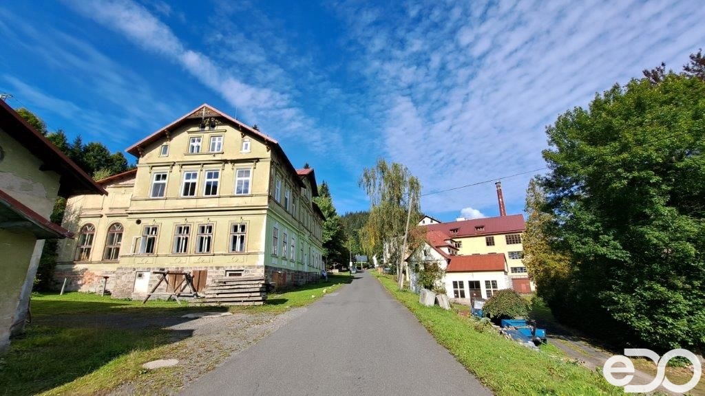 20220924-110106.jpg