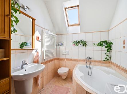 Prodej domu/vily, 300 m²