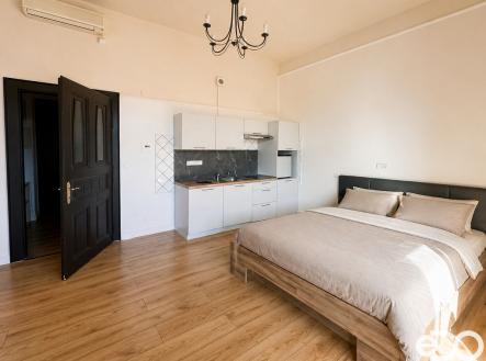 Pronájem bytu, 1+kk, 30 m²