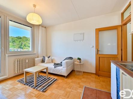 Pronájem bytu, 1+1, 51 m²
