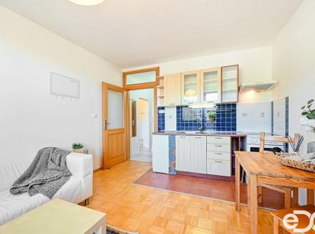 Pronájem bytu, 1+1, 51 m²