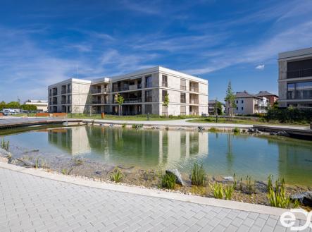 Pronájem bytu, 2+kk, 62 m²