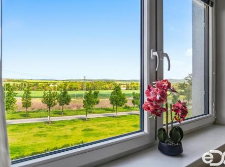 Prodej bytu, 3+kk, 69 m²