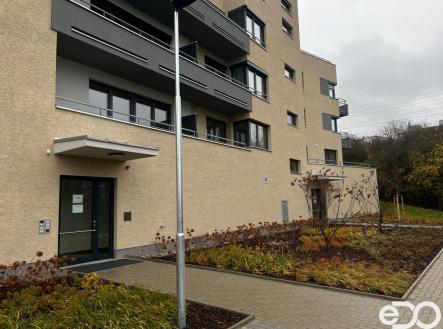 Pronájem bytu, 1+kk, 2 719 m²