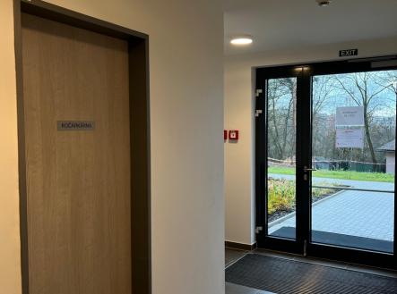Pronájem bytu, 1+kk, 2 719 m²