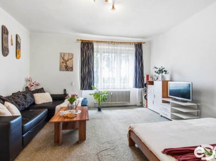 Prodej bytu, 1+1, 53 m²