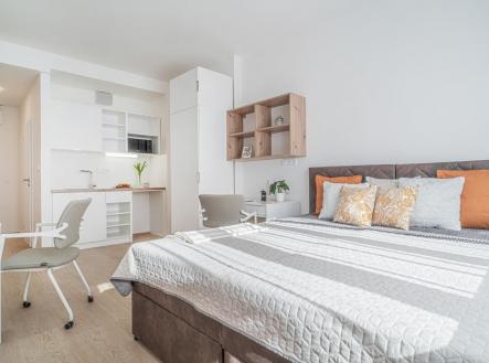 Pronájem bytu, 1+kk, 20 m² obrázek