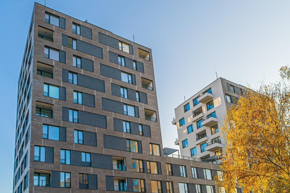 Fotku se nepodařilo načíst.